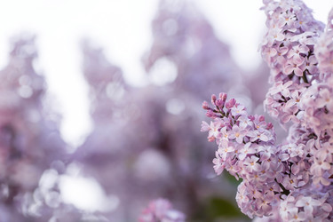 Similar image 22439243