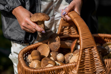 Similar image 22439247