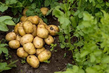 Similar image 22439250