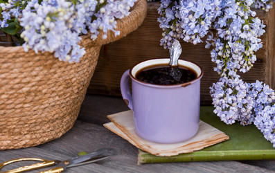 Similar image 22439251