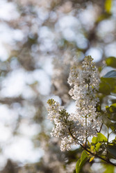 Similar image 22439252