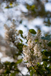 Similar image 22439253