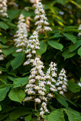 Similar image 22439255