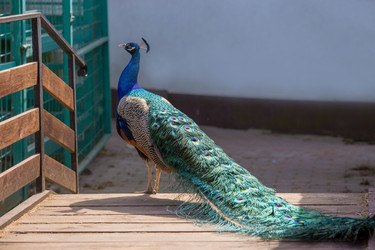 Similar image 22439257