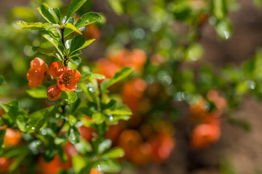 Similar image 22439258