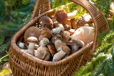 Similar image 22439262