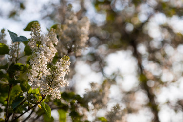 Similar image 22439264