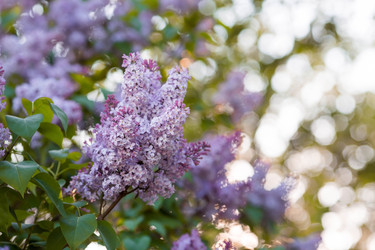 Similar image 22439265