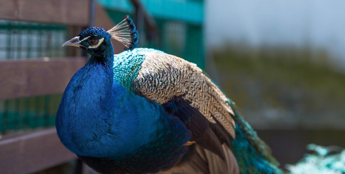 Similar image 22439268