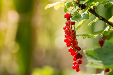 Similar image 22439269