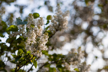 Similar image 22439271