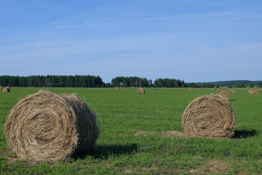 Similar image 22435091