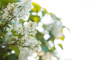 Similar image 22439277