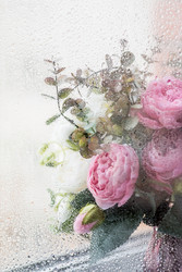 Similar image 22439280