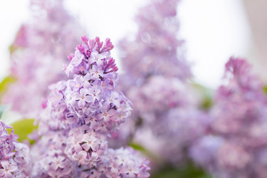 Similar image 22439283