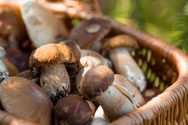 Similar image 22439284