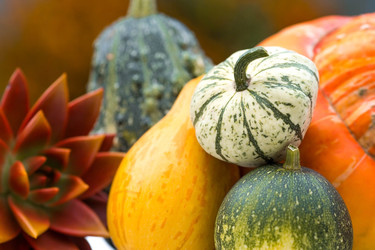 Similar image 22439286