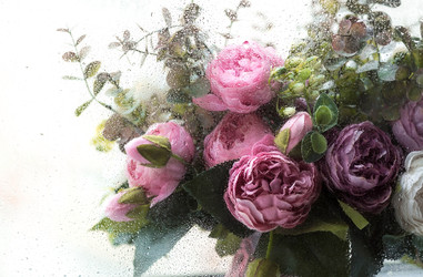 Similar image 22439288