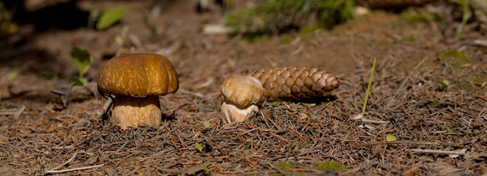 Similar image 22439289