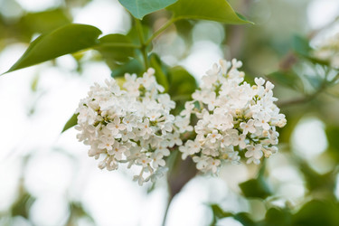 Similar image 22439290