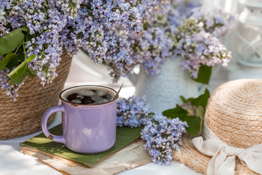 Similar image 22439291