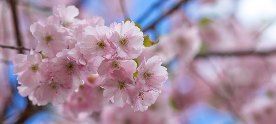 Similar image 22439293