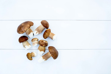 Similar image 22439297