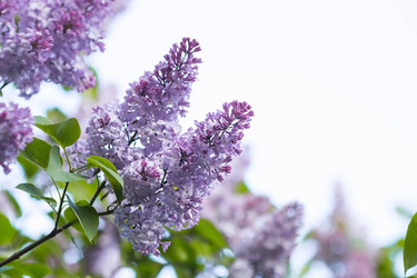 Similar image 22439300