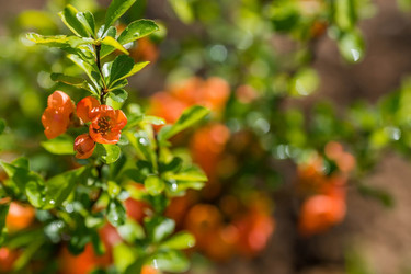 Similar image 22439302