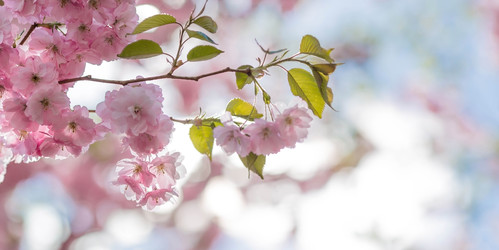 Similar image 22439305