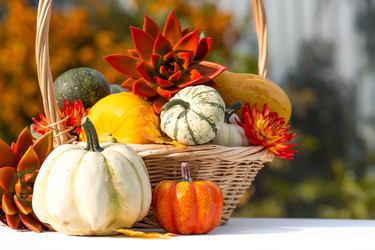 Similar image 22439307