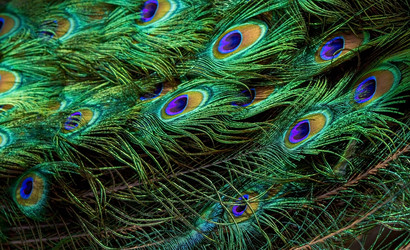 Similar image 22439312