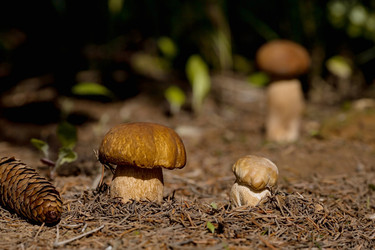 Similar image 22439313