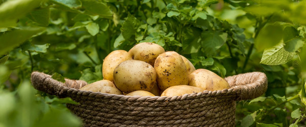 Similar image 22439327