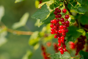 Similar image 22439328