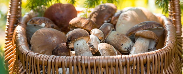 Similar image 22439329