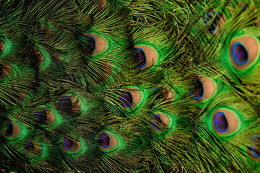 Similar image 22439330