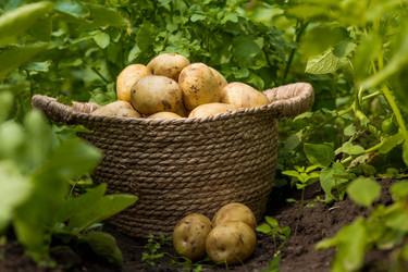 Similar image 22439332