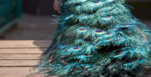 Similar image 22439336