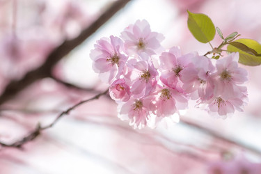 Similar image 22439337