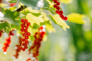 Similar image 22439340