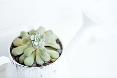 Similar image 22439348