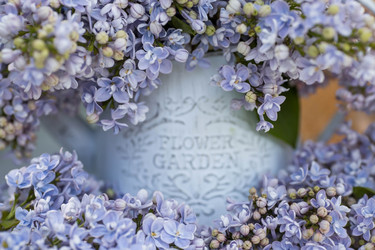 Similar image 22439354