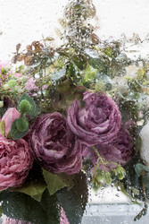 Similar image 22439357