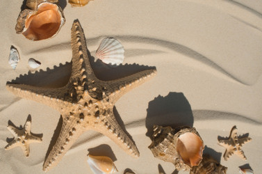 Similar image 22439363