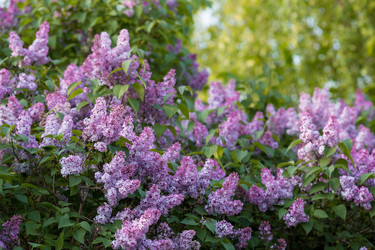 Similar image 22439364