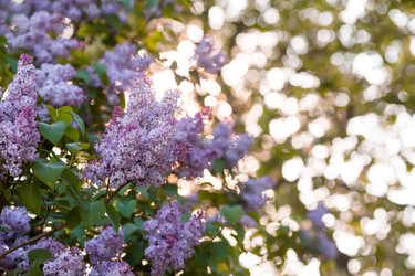 Similar image 22439365