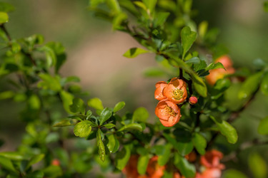 Similar image 22439367