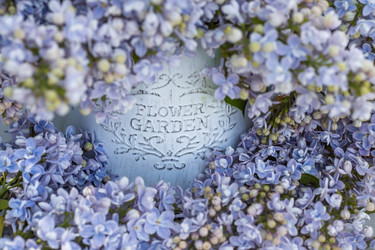 Similar image 22439372