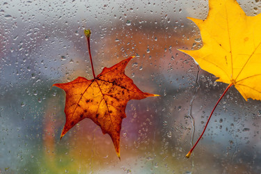 Similar image 22439377